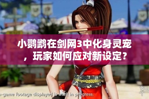 小鸚鵡在劍網(wǎng)3中化身靈寵，玩家如何應對新設定？