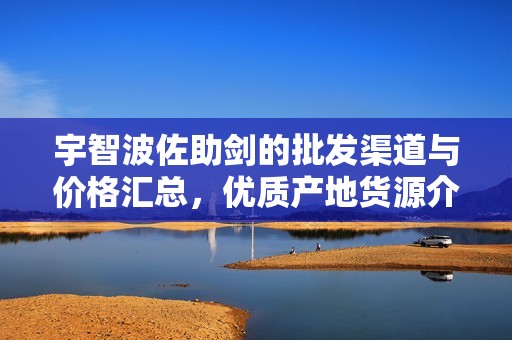 宇智波佐助劍的批發(fā)渠道與價格匯總，優(yōu)質產(chǎn)地貨源介紹