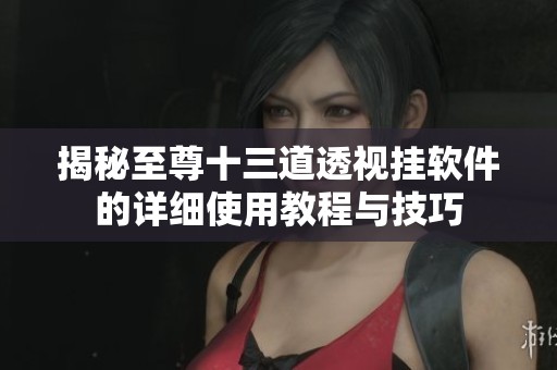揭秘至尊十三道透視掛軟件的詳細(xì)使用教程與技巧