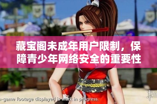 藏寶閣未成年用戶限制，保障青少年網(wǎng)絡(luò)安全的重要性