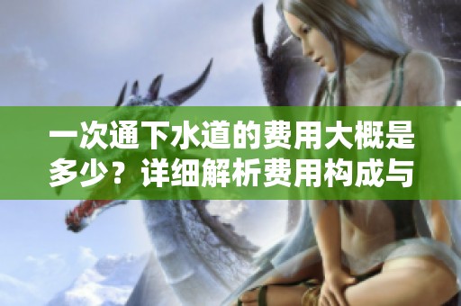 一次通下水道的費用大概是多少？詳細(xì)解析費用構(gòu)成與影響因素