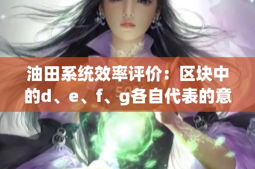 油田系統(tǒng)效率評(píng)價(jià)：區(qū)塊中的d、e、f、g各自代表的意義解析