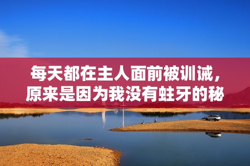 每天都在主人面前被訓(xùn)誡，原來是因?yàn)槲覜]有蛀牙的秘密