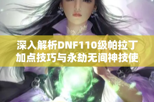 深入解析DNF110級(jí)帕拉丁加點(diǎn)技巧與永劫無(wú)間神技使用攻略