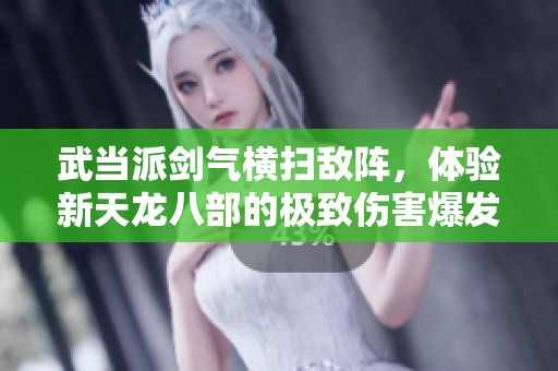武當派劍氣橫掃敵陣，體驗新天龍八部的極致傷害爆發(fā)