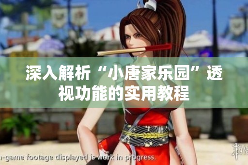 深入解析“小唐家樂園”透視功能的實用教程