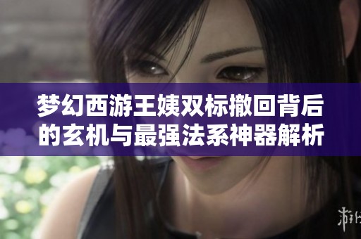 夢幻西游王姨雙標(biāo)撤回背后的玄機(jī)與最強(qiáng)法系神器解析