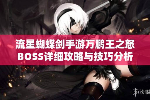 流星蝴蝶劍手游萬(wàn)鵬王之怒BOSS詳細(xì)攻略與技巧分析