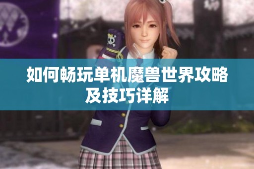 如何暢玩單機魔獸世界攻略及技巧詳解