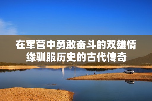在軍營中勇敢奮斗的雙雄情緣馴服歷史的古代傳奇