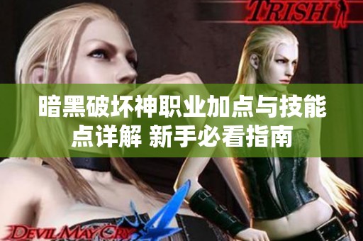 暗黑破壞神職業(yè)加點(diǎn)與技能點(diǎn)詳解 新手必看指南