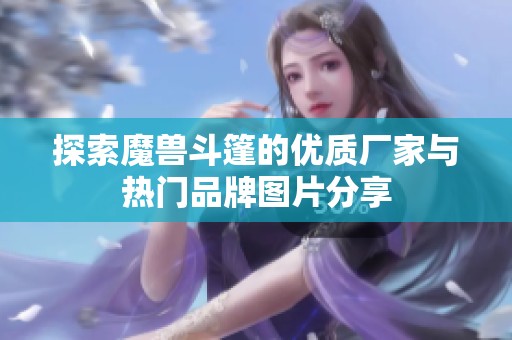 探索魔獸斗篷的優(yōu)質(zhì)廠家與熱門品牌圖片分享 探索魔獸斗篷的優(yōu)質(zhì)廠家與熱門品牌圖片分享