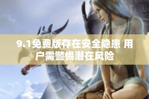 9.1免費(fèi)版存在安全隱患 用戶需警惕潛在風(fēng)險