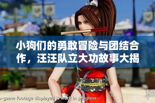 小狗們的勇敢冒險(xiǎn)與團(tuán)結(jié)合作，汪汪隊(duì)立大功故事大揭秘