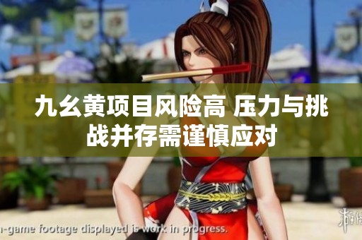 九幺黃項目風(fēng)險高 壓力與挑戰(zhàn)并存需謹(jǐn)慎應(yīng)對