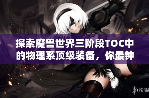 探索魔獸世界三階段TOC中的物理系頂級裝備，你最鐘愛哪一件？