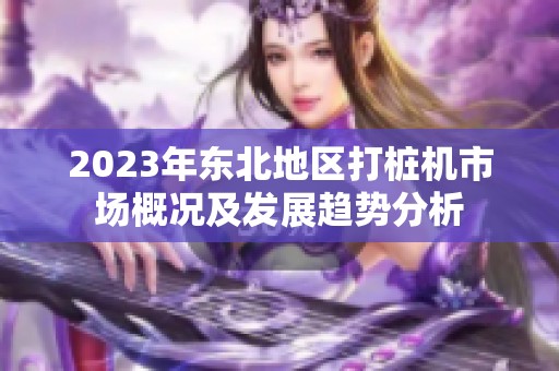 2023年?yáng)|北地區(qū)打樁機(jī)市場(chǎng)概況及發(fā)展趨勢(shì)分析