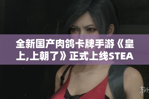 全新國產(chǎn)肉鴿卡牌手游《皇上,上朝了》正式上線STEAM平臺！