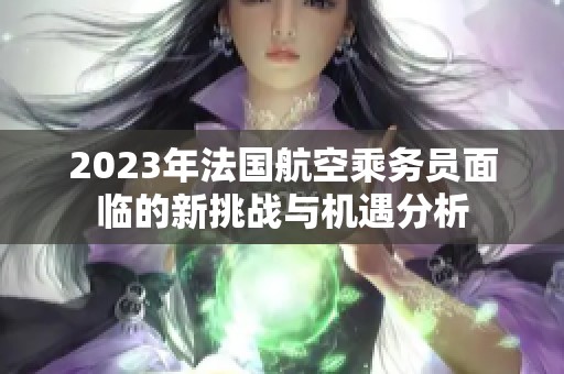 2023年法國(guó)航空乘務(wù)員面臨的新挑戰(zhàn)與機(jī)遇分析