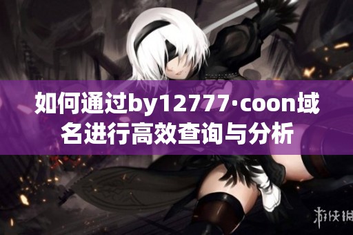 如何通過by12777·coon域名進(jìn)行高效查詢與分析