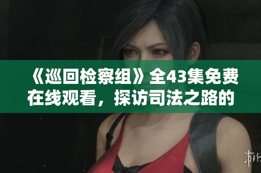《巡回檢察組》全43集免費(fèi)在線觀看，探訪司法之路的故事