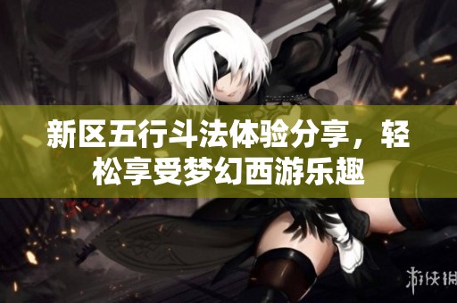 新區(qū)五行斗法體驗分享，輕松享受夢幻西游樂趣