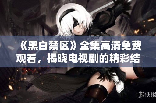 《黑白禁區(qū)》全集高清免費(fèi)觀看，揭曉電視劇的精彩結(jié)局與深刻主題