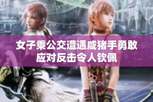 女子乘公交遭遇咸豬手勇敢應(yīng)對(duì)反擊令人欽佩