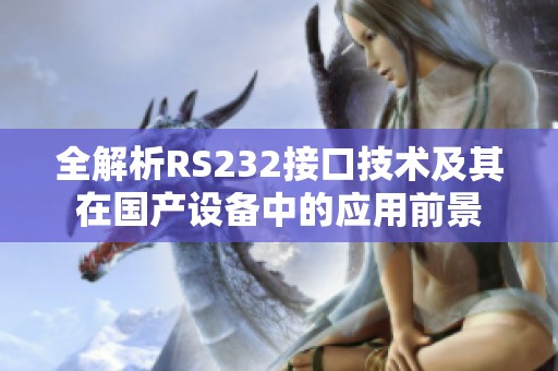 全解析RS232接口技術及其在國產設備中的應用前景