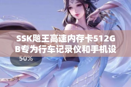 SSK飚王高速內(nèi)存卡512GB專為行車記錄儀和手機設(shè)計的優(yōu)質(zhì)SD卡