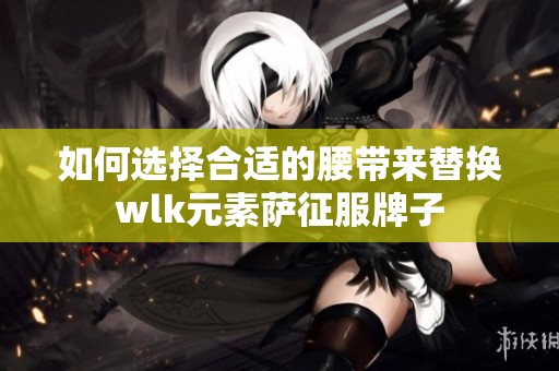如何選擇合適的腰帶來替換wlk元素薩征服牌子