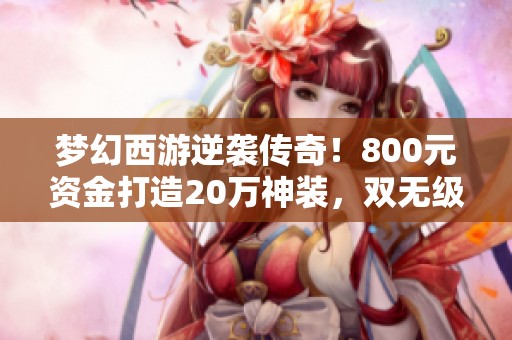 夢幻西游逆襲傳奇！800元資金打造20萬神裝，雙無級別鞋大爆發(fā)！