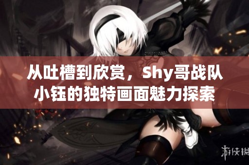 從吐槽到欣賞，Shy哥戰(zhàn)隊(duì)小鈺的獨(dú)特畫面魅力探索