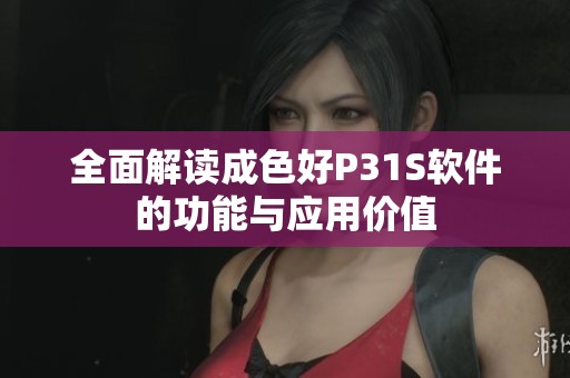 全面解讀成色好P31S軟件的功能與應用價值