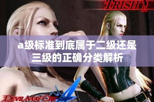 a級標準到底屬于二級還是三級的正確分類解析