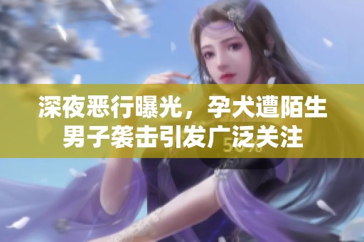 深夜惡行曝光，孕犬遭陌生男子襲擊引發(fā)廣泛關(guān)注
