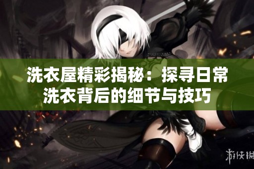 洗衣屋精彩揭秘：探尋日常洗衣背后的細(xì)節(jié)與技巧