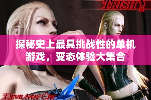 探秘史上最具挑戰(zhàn)性的單機(jī)游戲，變態(tài)體驗(yàn)大集合