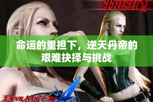 命運(yùn)的重?fù)?dān)下，逆天丹帝的艱難抉擇與挑戰(zhàn)