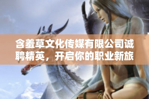 含羞草文化傳媒有限公司誠聘精英，開啟你的職業(yè)新旅程