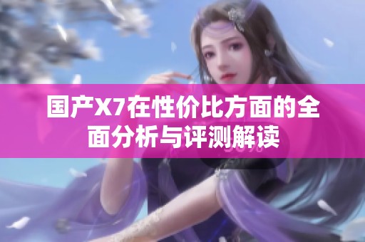 國產X7在性價比方面的全面分析與評測解讀