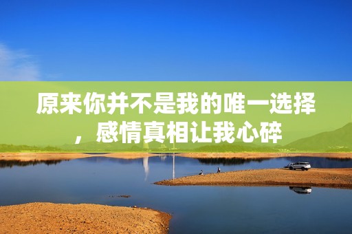 原來(lái)你并不是我的唯一選擇，感情真相讓我心碎