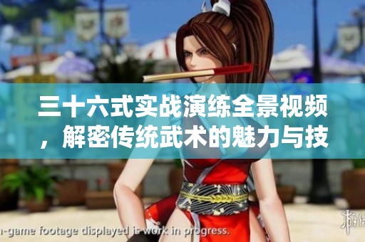 三十六式實(shí)戰(zhàn)演練全景視頻，解密傳統(tǒng)武術(shù)的魅力與技巧