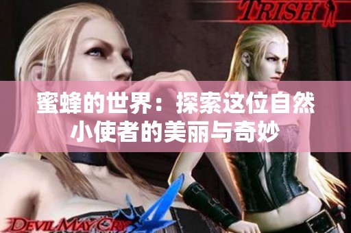蜜蜂的世界：探索這位自然小使者的美麗與奇妙