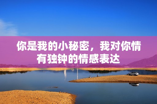 你是我的小秘密，我對你情有獨(dú)鐘的情感表達(dá)