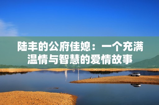 陸豐的公府佳媳：一個(gè)充滿溫情與智慧的愛情故事