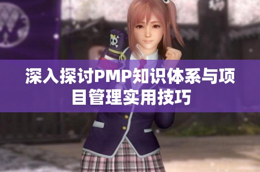 深入探討PMP知識體系與項目管理實用技巧