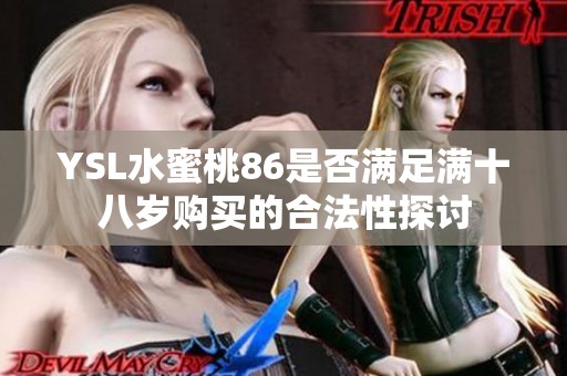 YSL水蜜桃86是否滿足滿十八歲購買的合法性探討