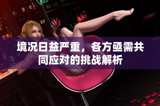 境況日益嚴(yán)重，各方亟需共同應(yīng)對的挑戰(zhàn)解析