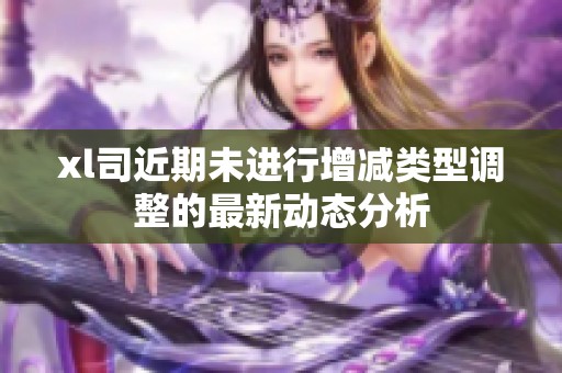 xl司近期未進行增減類型調(diào)整的最新動態(tài)分析